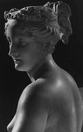 Venere vincitrice detail WTI Art A4 Photo Print