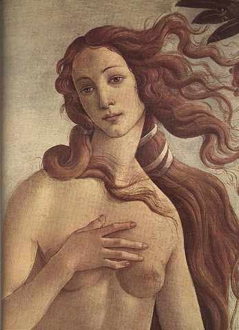 Venus Detail Eur A4 Photo Print