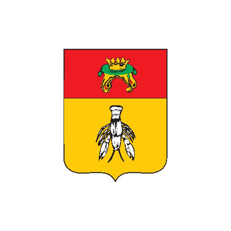 Vesegonsk1780 City Coat Of Arms N6860 A4 Photo Print