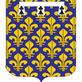 Vexinfrancais Pay Coat Of Arms N3326 A4 Photo Print