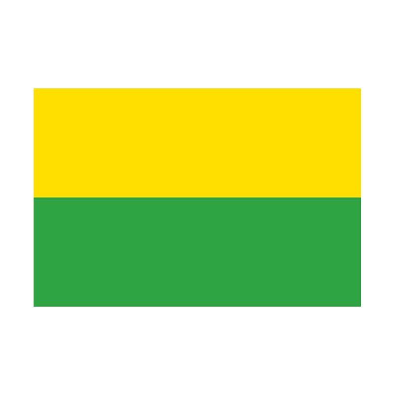 Vichanda Dep Flag N4845 A4 Photo Print