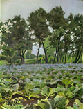 Victor Borisov Musatov cabbage field with willows Art A4 Photo Print