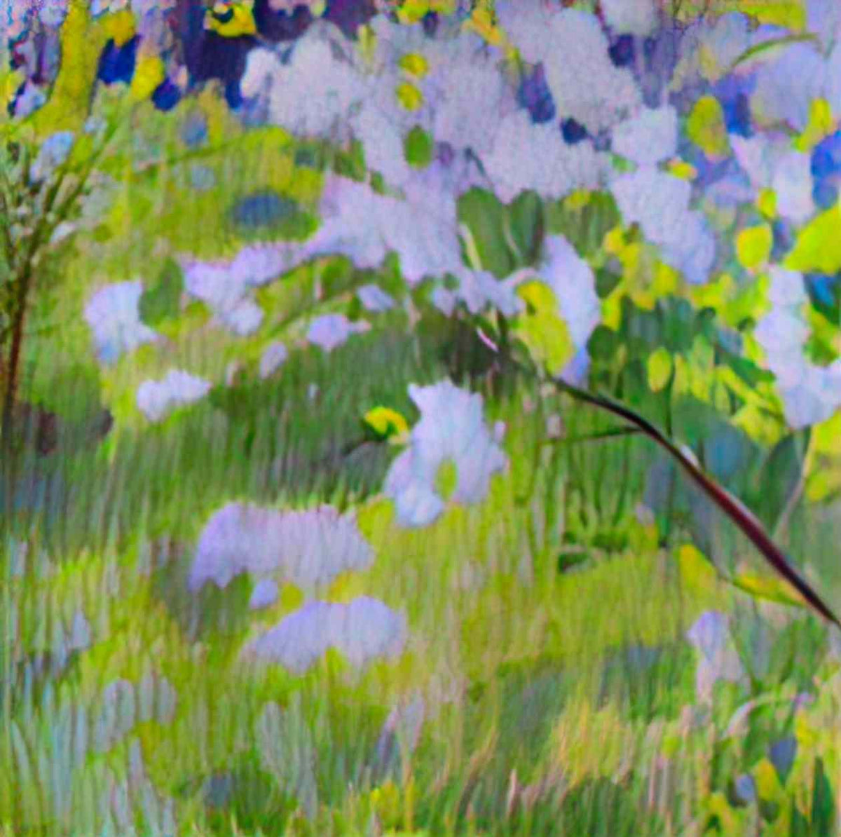 Victor Borisov Musatov cherry trees in blossom 1901 Art A4 Photo Print