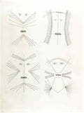 Victor Brauner codex d un visage 1962 Art A4 Photo Print
