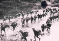 Vietnam 01Vietnam Military A4 Photo Print