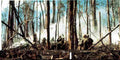 Vietnam 09 Military A4 Photo Print