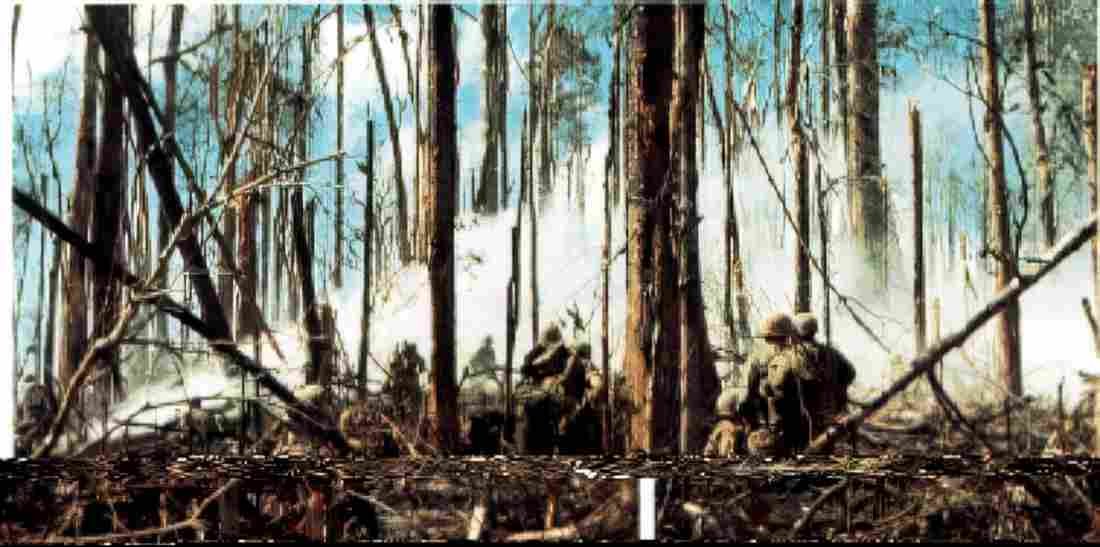 Vietnam 09 Military A4 Photo Print