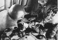 Vietnam 173Vietnam Military A4 Photo Print