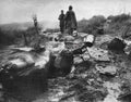 Vietnam 229Vietnam Military A4 Photo Print