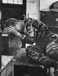 Vietnam 232Vietnam Military A4 Photo Print