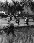 Vietnam 31Vietnam Military A4 Photo Print