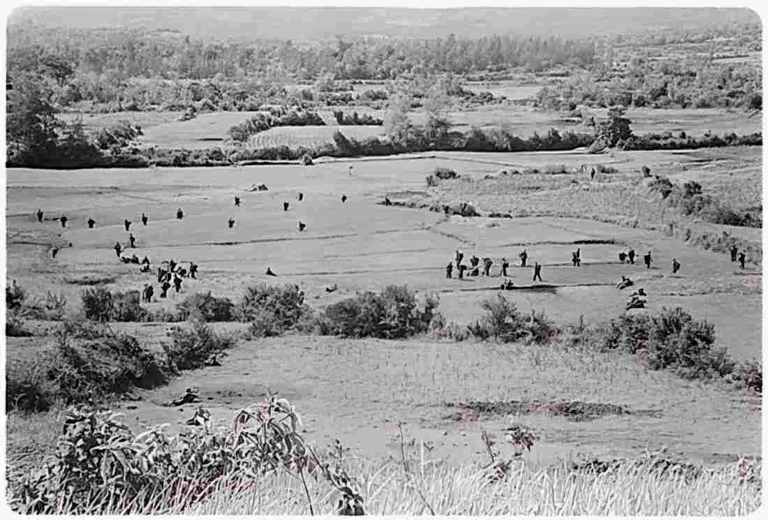 Vietnam 36 2980a Military A4 Photo Print