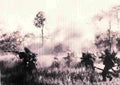 Vietnam 384Vietnam Military A4 Photo Print