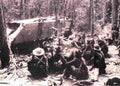 Vietnam 385Vietnam Military A4 Photo Print