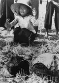 Vietnam 39 Military A4 Photo Print