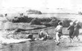 Vietnam 46Vietnam Military A4 Photo Print