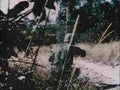 Vietnam 481Vietnam Military A4 Photo Print