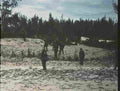 Vietnam 529Vietnam Military A4 Photo Print