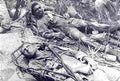 Vietnam 52Vietnam Military A4 Photo Print