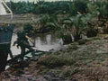 Vietnam 605Vietnam Military A4 Photo Print