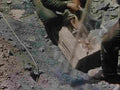 Vietnam 611Vietnam Military A4 Photo Print