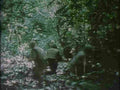 Vietnam 653Vietnam Military A4 Photo Print