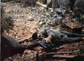 Vietnam 76Vietnam Military A4 Photo Print