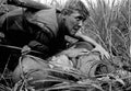 Vietnam CL6602 large Military A4 Photo Print