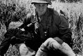 Vietnam CL6701 large Military A4 Photo Print