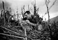 Vietnam CL6704 large Military A4 Photo Print