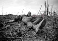 Vietnam CL6707 large Military A4 Photo Print
