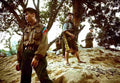 Vietnam CL6809 large Military A4 Photo Print