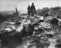 Vietnam Con12 Military A4 Photo Print