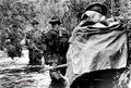 Vietnam DB7107 large Military A4 Photo Print
