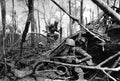 Vietnam GC6704 large Military A4 Photo Print