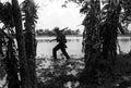 Vietnam GC6709 large Military A4 Photo Print