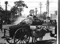 Vietnam HD SN 99 02078 Military A4 Photo Print
