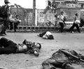 Vietnam HD SN 99 02082 Military A4 Photo Print
