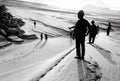 Vietnam HH6605 large Military A4 Photo Print