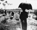 Vietnam Hue Massacre Internment Military A4 Photo Print