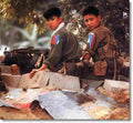 Vietnam NVA1 Military A4 Photo Print