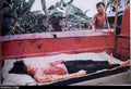 Vietnam OGRISH dot com 1 4284 Military A4 Photo Print