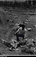 Vietnam OGRISH dot com 4 4287 Military A4 Photo Print