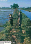Vietnam OGRISH dot com nam14 Military A4 Photo Print