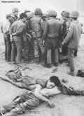 Vietnam OGRISH dot com nam5 Military A4 Photo Print