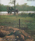 Vietnam OGRISH dot com nam6 Military A4 Photo Print