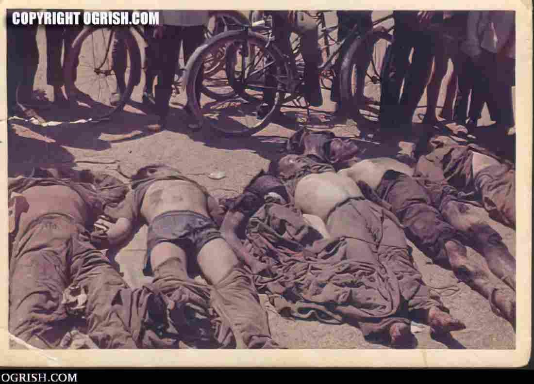 Vietnam OGRISH dot com vietnam dec 1968 small Military A4 Photo Print