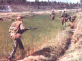 Vietnam Paddy Military A4 Photo Print