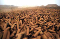 Vietnam RE6803 large Military A4 Photo Print