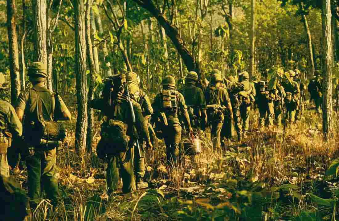 Vietnam TP6506 large Military A4 Photo Print